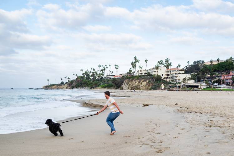 A dog having fun on a dog-friendly beach in Laguna Beach, CA.