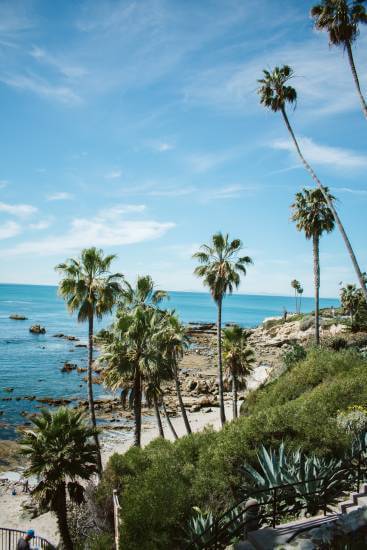 Where (and How!) to Picnic Like a Pro in Laguna Beach