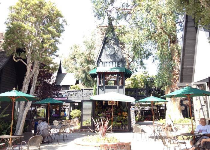 Laguna's Hidden History: The Trees of Forest Avenue