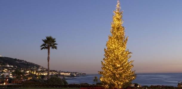 Holiday Tree in Laguna Beach