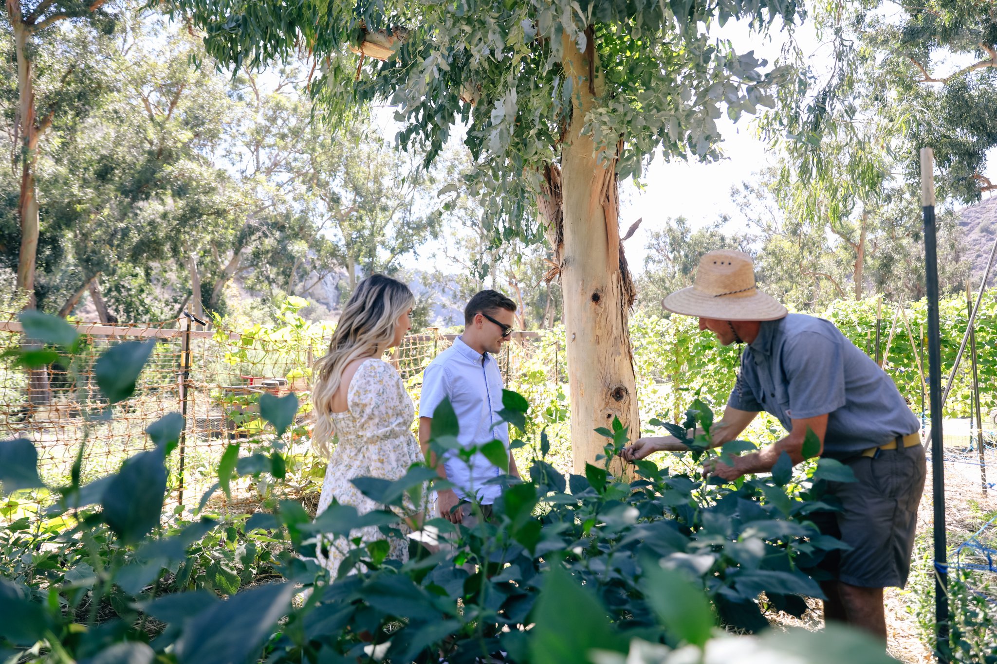 Team Building + Group Activities