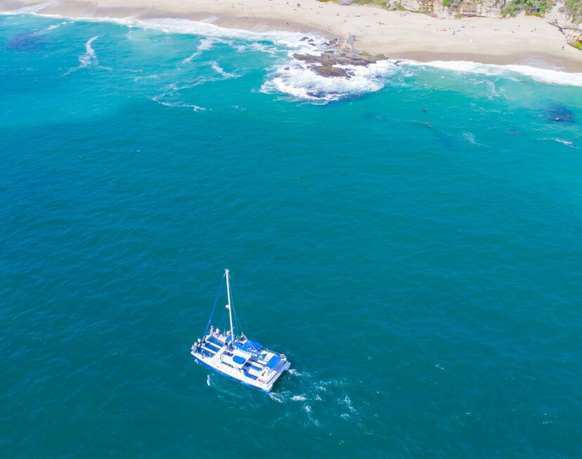 Team Building + Group Activities