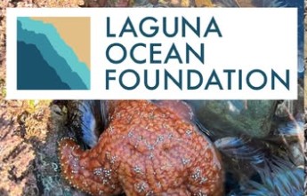 iDSS Events 2026 Laguna Beach Kelpfest at Main Beach