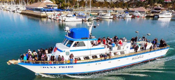 iDSS Events Holiday Lights Cruises at Dana Wharf
