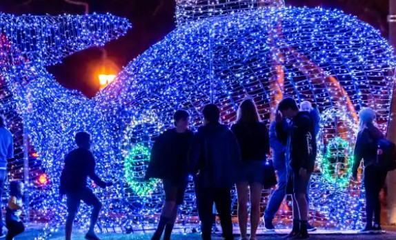 iDSS Events Dana Point Harbor Parade of Lights