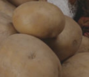 Home Rivian Kids: Potato Power Lab