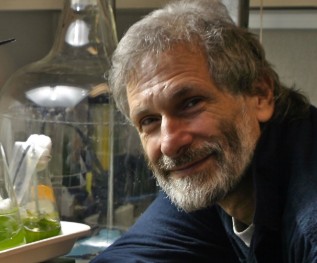 LAM’s Art + Nature Speaker Series