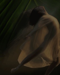 Laguna Art Museum presents Nature of Dance