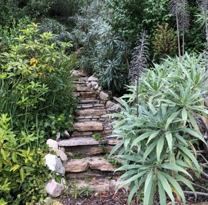 Hortense Miller Garden Open House