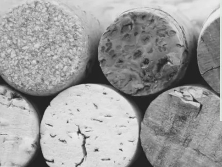 Wine Craft | Wine Tasting Schedule