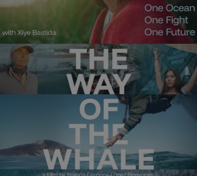 Rivian presents Way of the Whale
