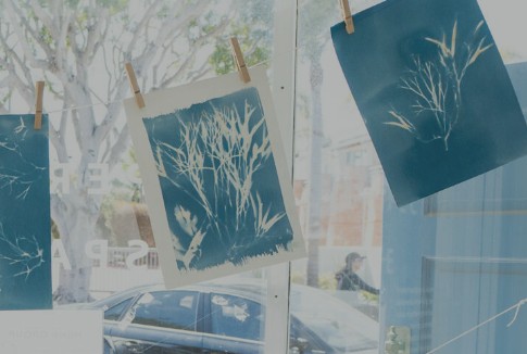 Home Rivian Community: Kelp Forest Art Experience with Oriana Poindexter & The Ocean Institute