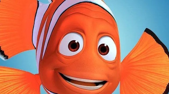 Finding Nemo Kids Summer Camp Finding Nemo Kids Summer Camp