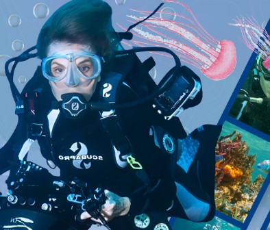 iDSS Events Rivian Presents: Ocean Conservation Award Winning Short Films