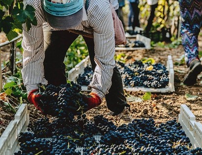 Wine Gallery presents Wine & Bites Tasting Thursday