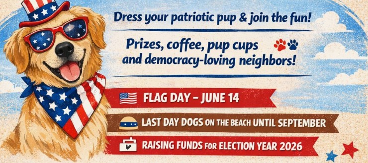 Home Pet Parade & Bow-Wow Beach Walk