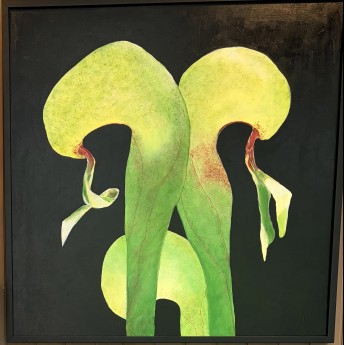 Mary Chabre’s exhibition at the Hortense Miller Garden Aviary Gallery.