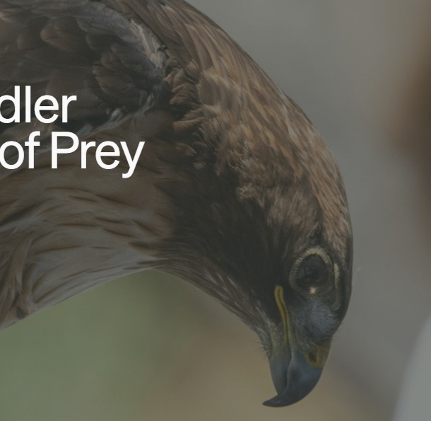 Home Rivian Kids: Toddler Time with Birds of Prey Center